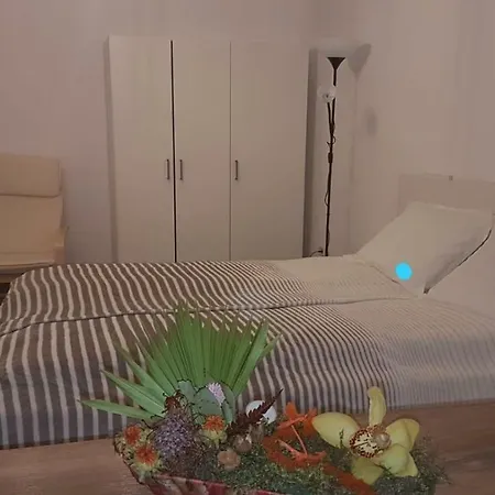 Bsv Accomodation Apartament Timișoara